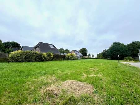 Gesamtgrundstücksansicht Gesamtgrundstücksansicht - Grundstück in 25881 Tating mit 541m² kaufen