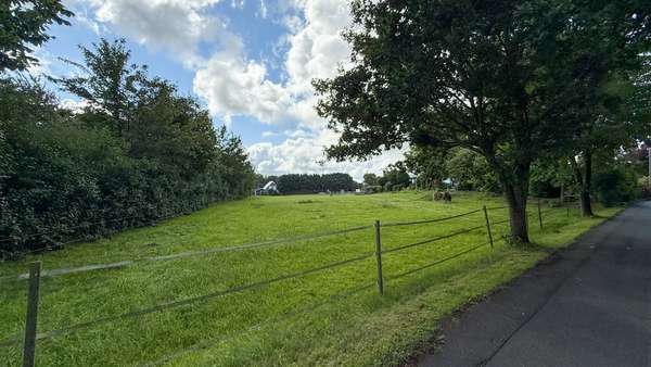 Straßenansicht Straßenansicht - Grundstück in 24992 Janneby mit 1000m² kaufen