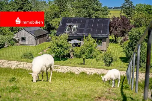 Traumhafte Deichlage in unmittelbarer Elbstrandnähe !!!