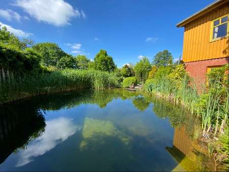 Naturschwimmteich - Resthof in 25596 Gribbohm mit 585m² kaufen