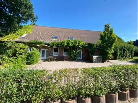 Front-neu2 - Resthof in 25588 Oldendorf mit 330m² günstig kaufen