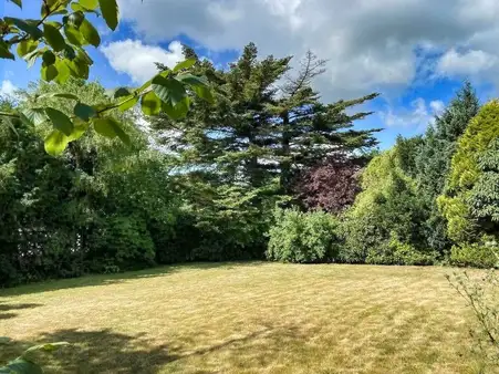 großes Einfamilienhaus mit herrlichem Garten im Herzen der Stadt Heide