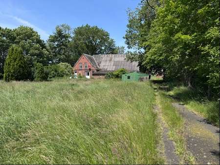 Frontansicht mit Zufahrt Frontansicht mit Zufahrt - Resthof in 25572 Büttel mit 146m² kaufen