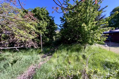 Garten - Doppelhaushälfte in 23560 Lübeck mit 114m² kaufen