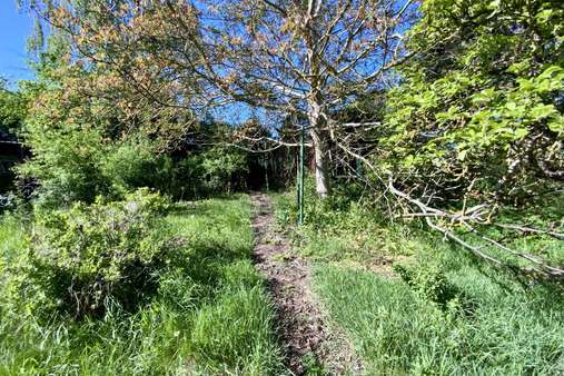Garten - Doppelhaushälfte in 23560 Lübeck mit 114m² kaufen