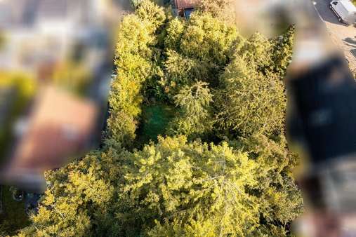 Baumbestand - Grundstück in 23611 Bad Schwartau mit 650m² kaufen