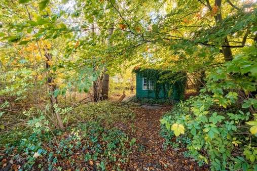 Gartenimpression - Grundstück in 23611 Bad Schwartau mit 650m² kaufen