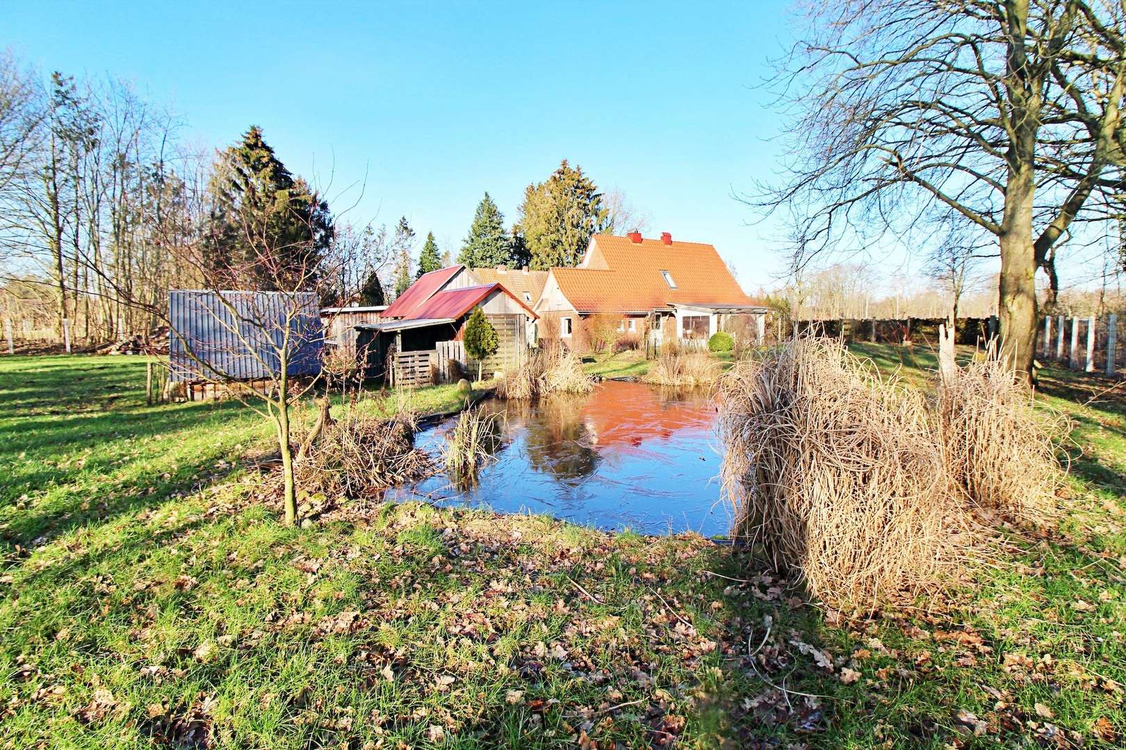 Blick auf Teich u. Grundstück - Einfamilienhaus in 24640 Hasenmoor mit 95m² günstig kaufen