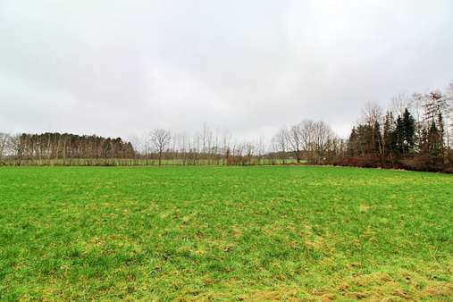 Freier Blick auf die Felder - Doppelhaushälfte in 24576 Bad Bramstedt mit 100m² kaufen