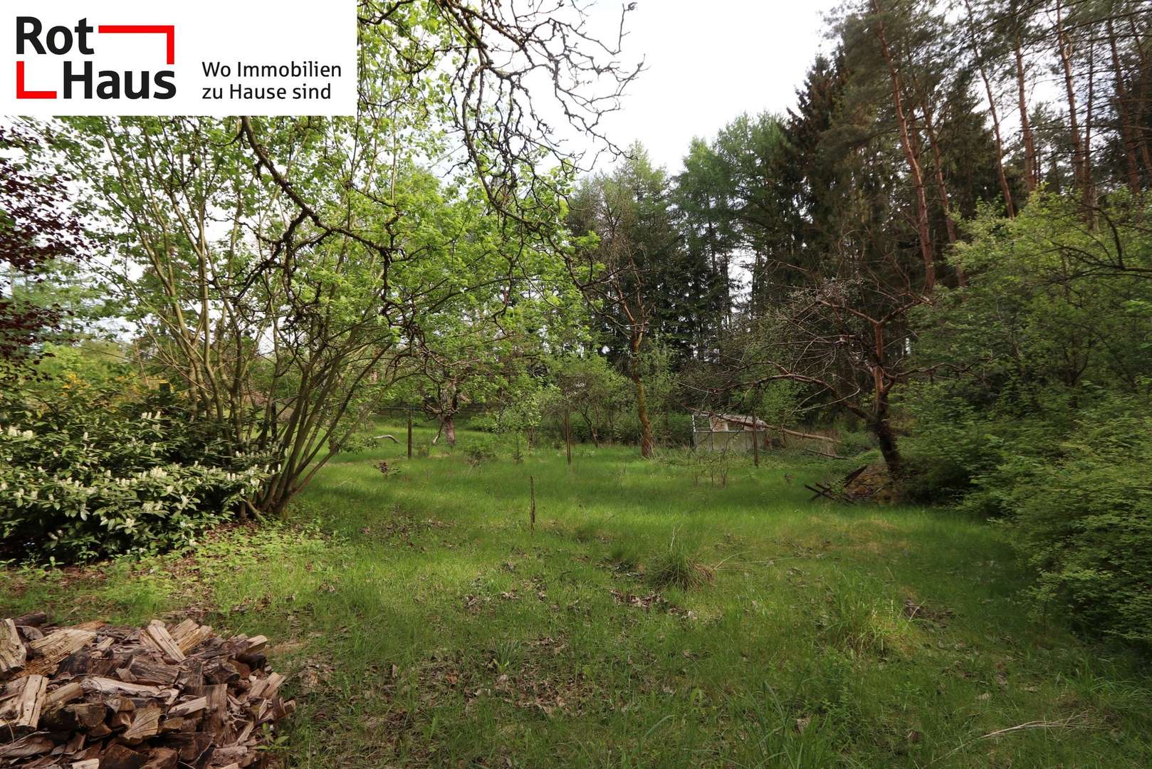 Blick in den Garten - Einfamilienhaus in 21514 Güster mit 94m² kaufen