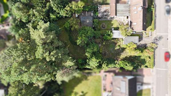 Ansicht von oben Ansicht von oben - Doppelhaushälfte in 21502 Geesthacht mit 115m² kaufen