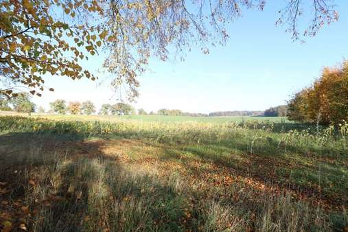 Baugrundstück - Grundstück in 23883 Horst mit 1594m² kaufen