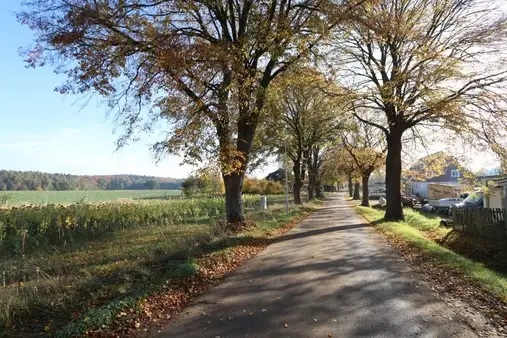 Baugrundstück in Feldrandlage