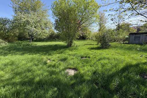 Gartenblick - Grundstück in 23898 Wentorf mit 1386m² kaufen