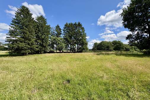 Blick auf das eigene Feld Blick auf das eigene Feld - Einfamilienhaus in 23881 Koberg mit 100m² kaufen