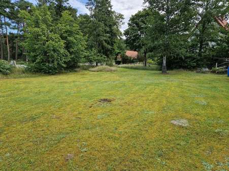 Einfamilienhaus in 19273 Tripkau mit 99m² kaufen