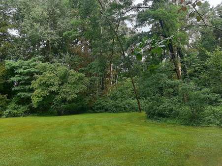 null - Grundstück in 21407 Deutsch Evern mit 5690m² kaufen