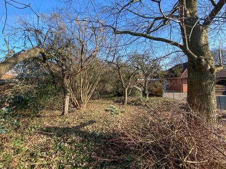 Gartenansicht - Einfamilienhaus in 21683 Stade mit 178m² kaufen