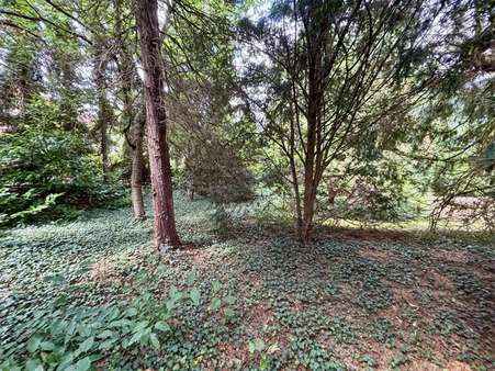 Garten mit Baumbestand - Bungalow in 30900 Wedemark mit 144m² kaufen