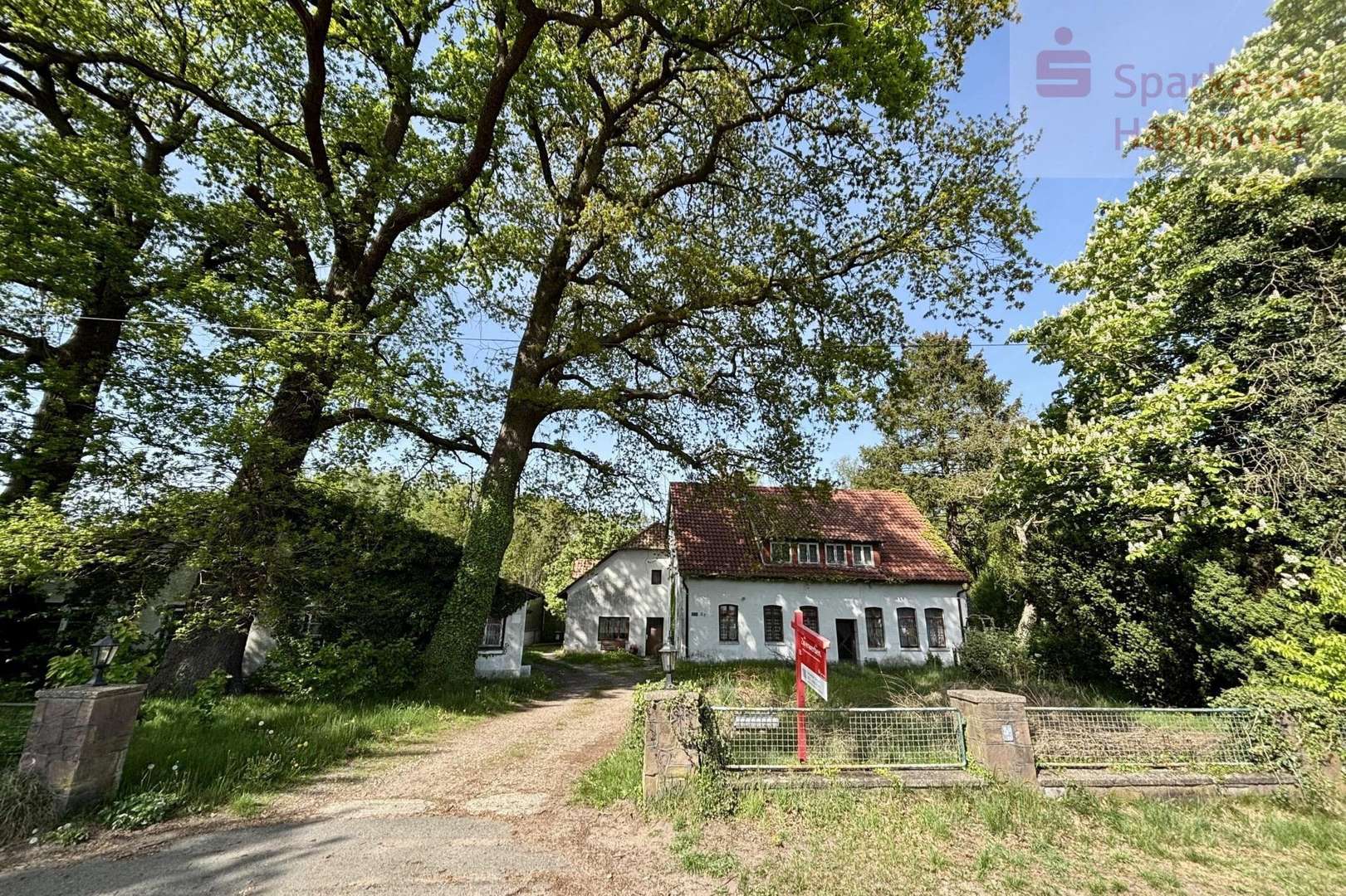 Ansicht vor der Straße - Grundstück in 30900 Wedemark mit 2997m² kaufen