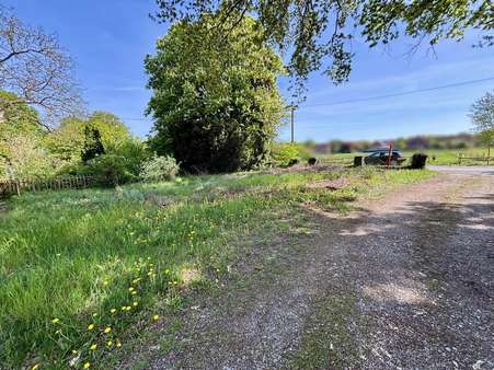 Blick vom Grundstück - Grundstück in 30900 Wedemark mit 2997m² kaufen