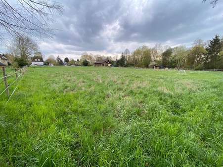 Blick Richtung Süden - Grundstück in 31311 Uetze mit 3000m² kaufen