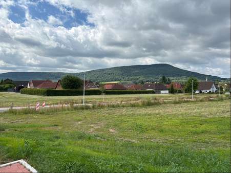 Grundstück in 31863 Coppenbrügge mit 17011m² kaufen