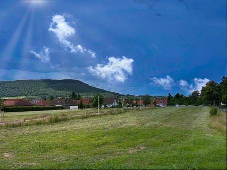 Grundstück in 31863 Coppenbrügge mit 701m² kaufen