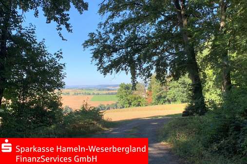 Impressionen aus der Umgebung Impressionen aus der Umgebung - Einfamilienhaus in 31863 Coppenbrügge mit 180m² kaufen