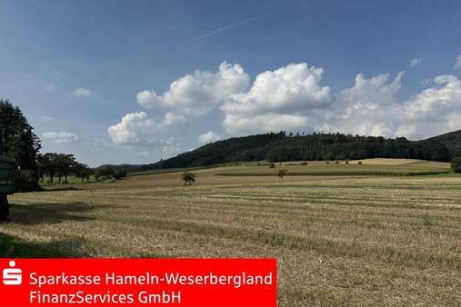 Ausblick vom Garten - Zweifamilienhaus in 31840 Hessisch Oldendorf mit 225m² kaufen