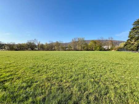 Grundstück in 31737 Rinteln mit 7240m² kaufen