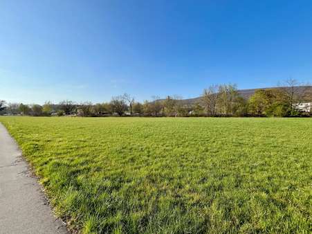 Grundstück in 31737 Rinteln mit 7240m² kaufen