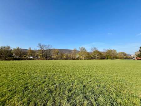 Grundstück in 31737 Rinteln mit 7240m² kaufen