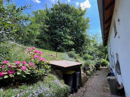 null - Einfamilienhaus in 31737 Rinteln mit 248m² kaufen