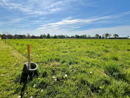 null - Grundstück in 31719 Wiedensahl mit 760m² kaufen