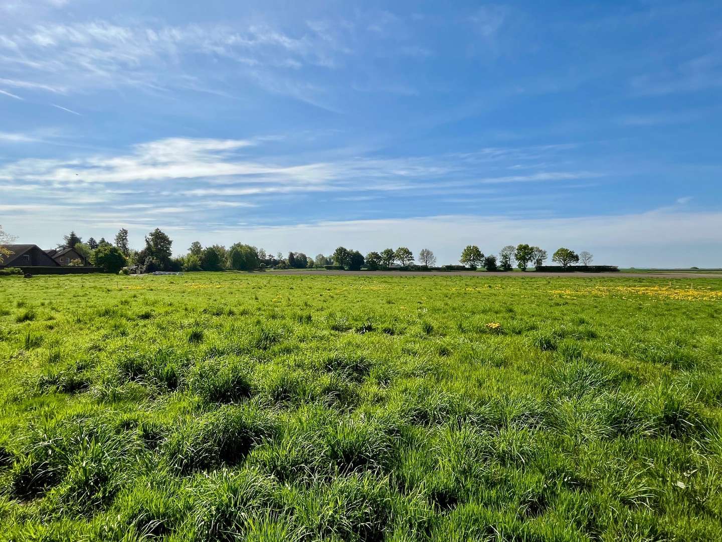 null - Grundstück in 31719 Wiedensahl mit 760m² kaufen