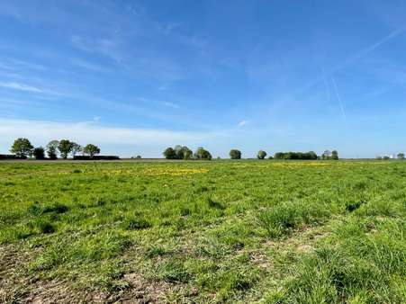 null - Grundstück in 31719 Wiedensahl mit 760m² kaufen