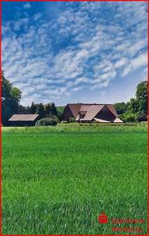 Resthof in 31604 Raddestorf mit 280m² kaufen