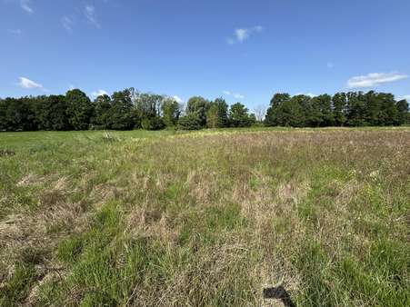 Wiesenansicht - Grundstück in 29451 Dannenberg mit 14560m² kaufen
