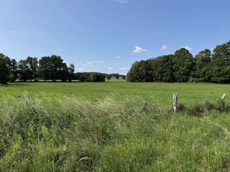 Wiesenansicht - Grundstück in 29451 Dannenberg mit 14560m² kaufen