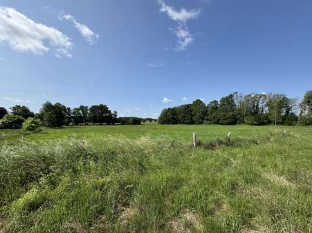Wiesenansicht - Grundstück in 29451 Dannenberg mit 14560m² kaufen