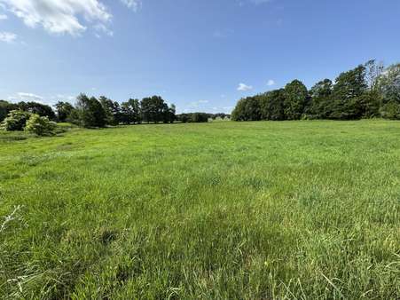 Wiesenansicht - Grundstück in 29451 Dannenberg mit 14560m² kaufen
