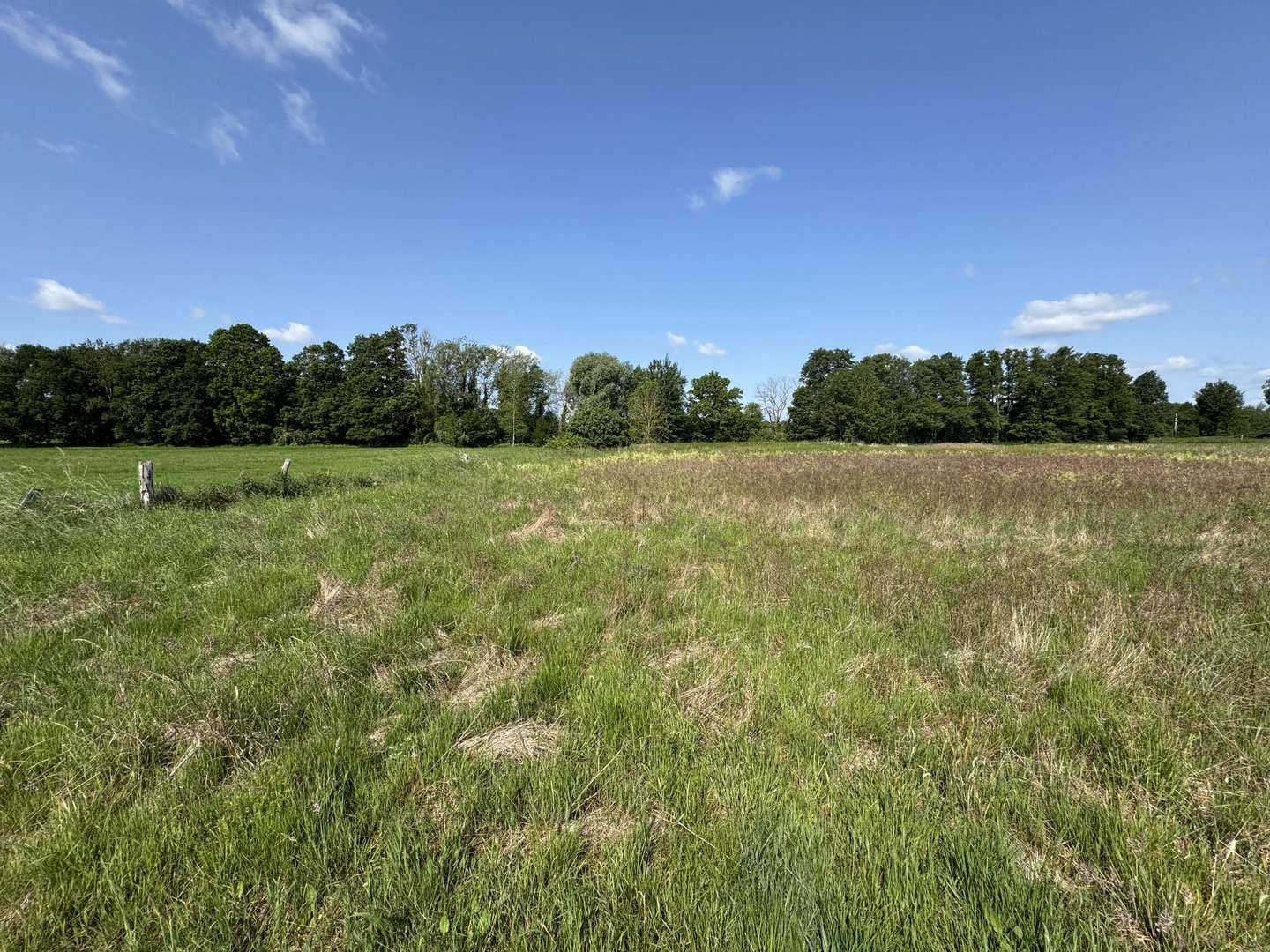 Wiesenansicht - Grundstück in 29451 Dannenberg mit 14560m² kaufen