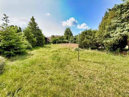 Blick in den Garten Blick in den Garten - Einfamilienhaus in 29525 Uelzen mit 209m² kaufen