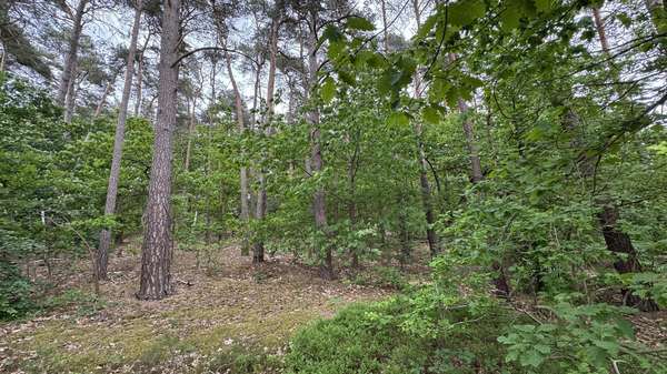 Grundstücksansicht - Grundstück in 29499 Zernien mit 1631m² kaufen