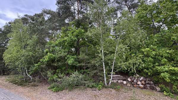Grundstücksansicht - Grundstück in 29499 Zernien mit 1631m² kaufen