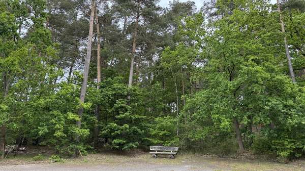 Grundstücksansicht - Grundstück in 29499 Zernien mit 1631m² kaufen
