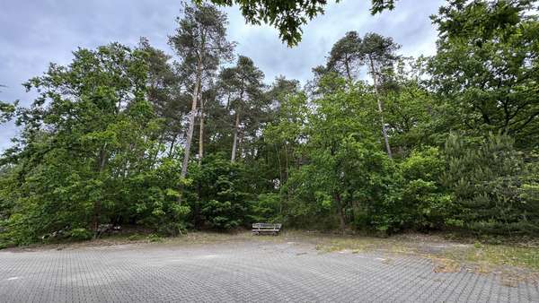 Grundstücksansicht - Grundstück in 29499 Zernien mit 1631m² kaufen