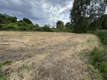 IMG_4925 - Grundstück in 29389 Bad Bodenteich mit 981m² kaufen