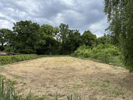 IMG_4926 - Grundstück in 29389 Bad Bodenteich mit 981m² kaufen